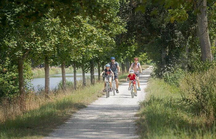 Eine Radlerfamilie ist bei Altessing auf dem Altmühltal-Radweg unterwegs. Der Weg ist von Bäumen gesäumt und rechts lugt der Ludwig-Main-Donau-Kanal durch.