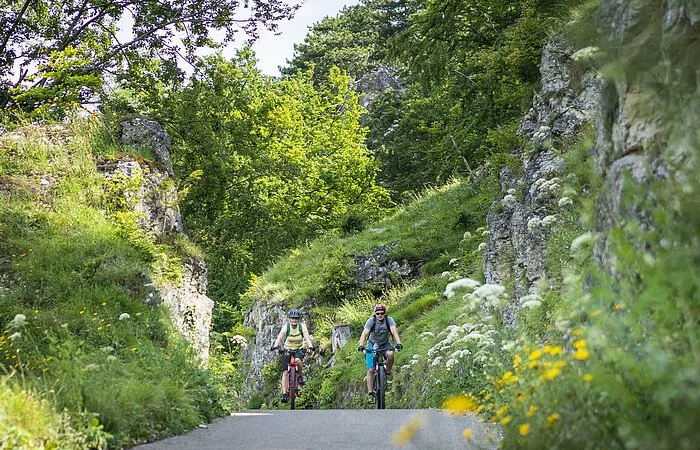 Zwei Radler mit Fahrradhelmen radeln inmitten grüner Hänge und Wiesen bei Kipfenberg.