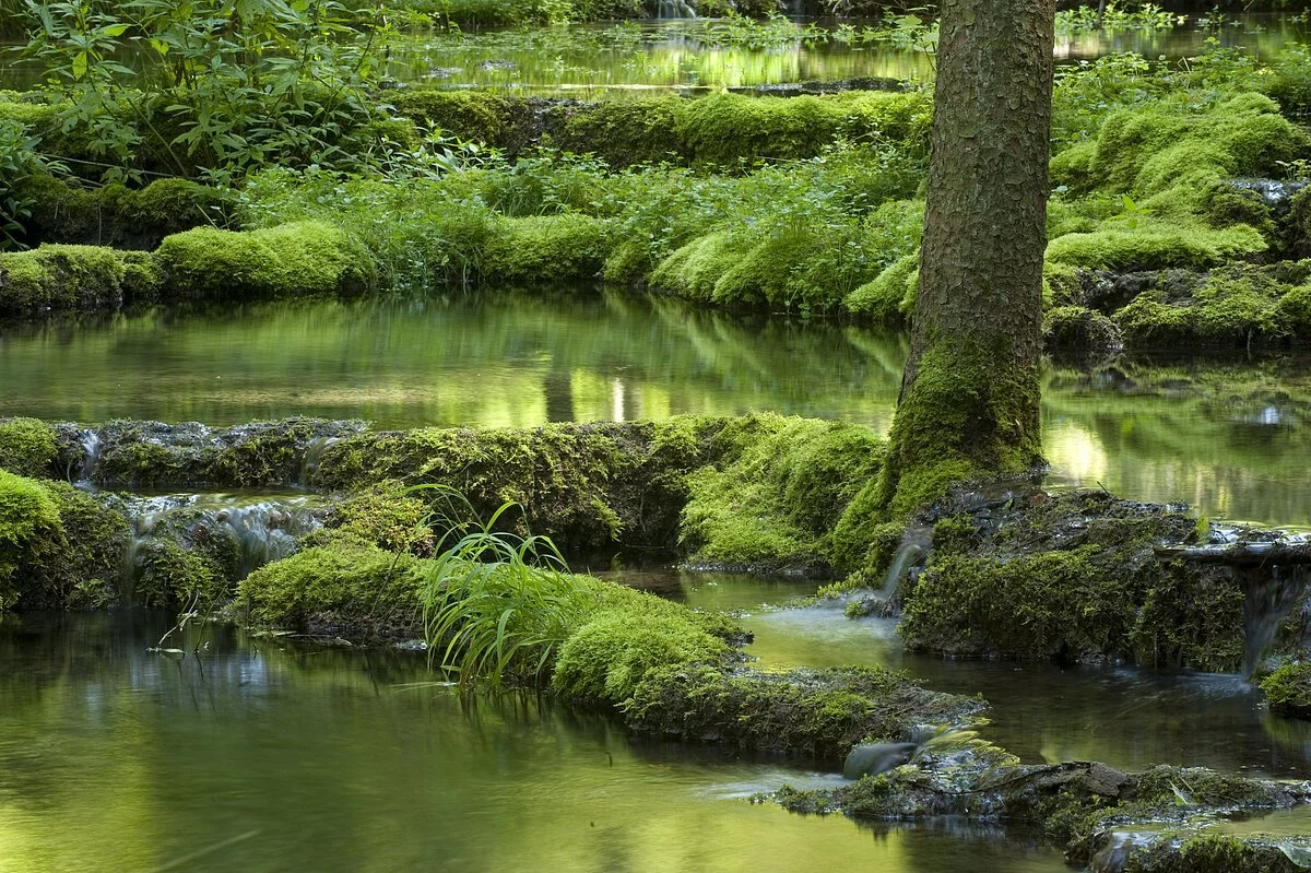 Kalksinterterrassen Kaisinger Tal