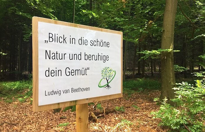Ein Schild mit einem Spruch steht im Wald.