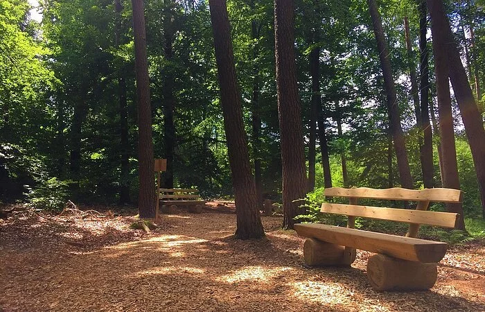 Ein idyllischer Platz im Wald mit einer Bank.