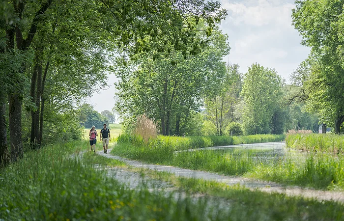 Auf der linken schattigen Seite sind zwei Wanderer unterwegs. Rechts von ihnen fließt der Ludwig-Donau-Main-Kanal entlang.