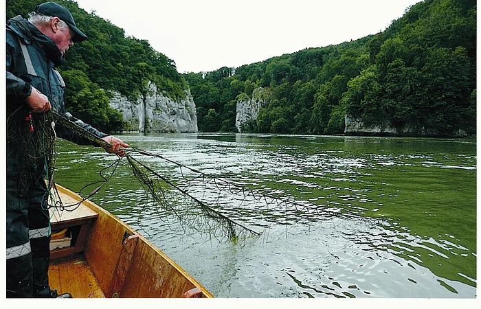 In der Mitte der Fluss und im Hintergrund der Donaudurchbruch bei Kelheim. Ein Mann, in einem Ruderboot stehend, hält einen Cacher in das grüne Wasser der Donau.