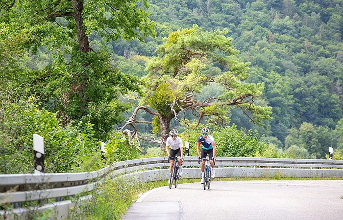 Zwei Rennradler fahren im Wiegetritt den Kalvarienberg bei Greding hoch