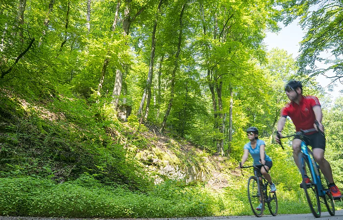 Zwei Rennradler fahren das tiefe Tal bei Eichstätt runter