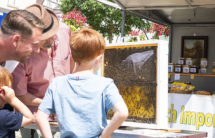 Drei Personen betrachten einen Honigwaben vom Bienenzuchtverein auf dem Wochenmarkt in Wemding.