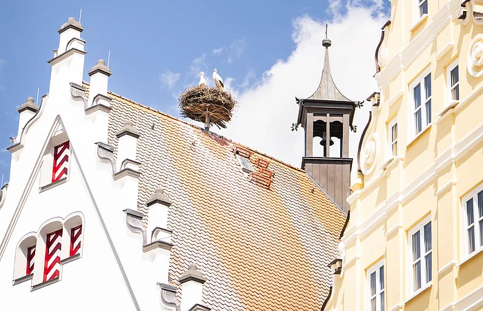 Das Storchennest auf dem historischen Rathaus an einem sonnigen Tag.