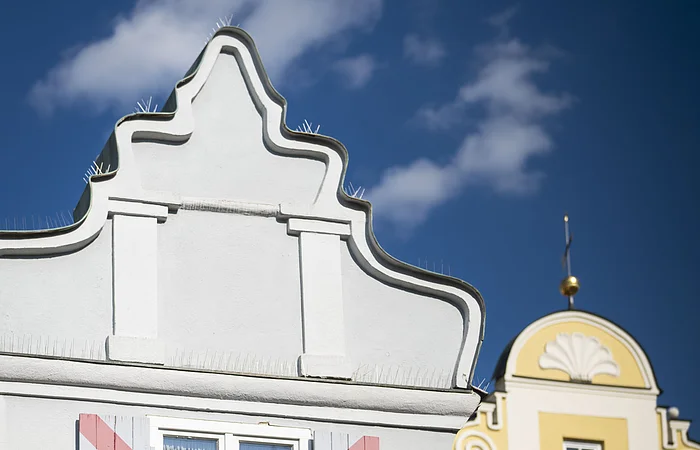 Blick von außen auf das Geburtshaus von Leonhart Fuchs, der Namensgeber der Fuchsie.