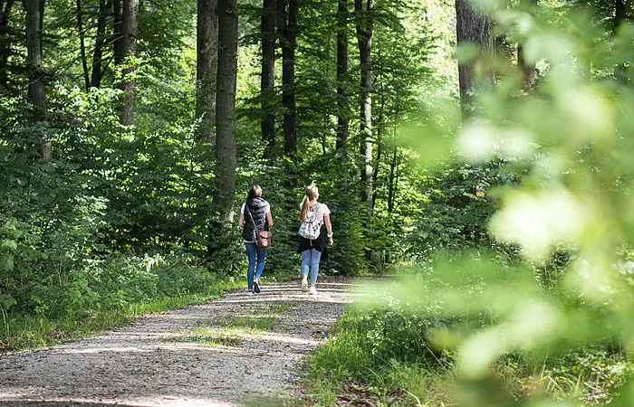 Zwei Freundinnen machen einen Spaziergang durch den Wald.
