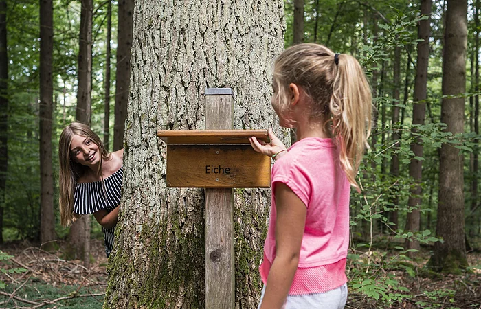 Zwei Mädchen stehen an einem Baum im  Walderlebnispfad.