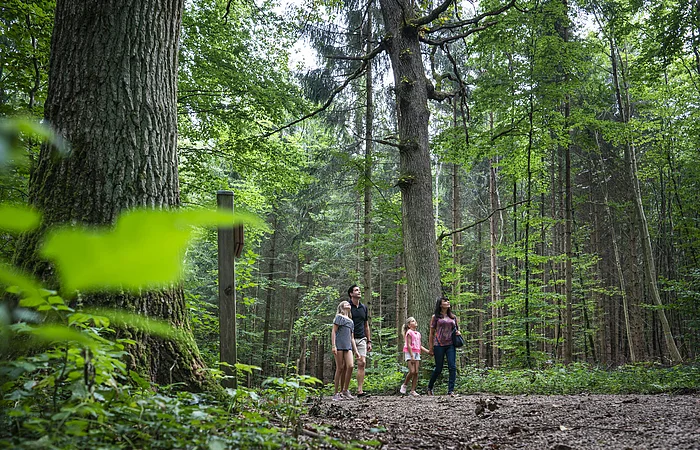 Eine Familie spaziert durch den Walderlebnispfad.