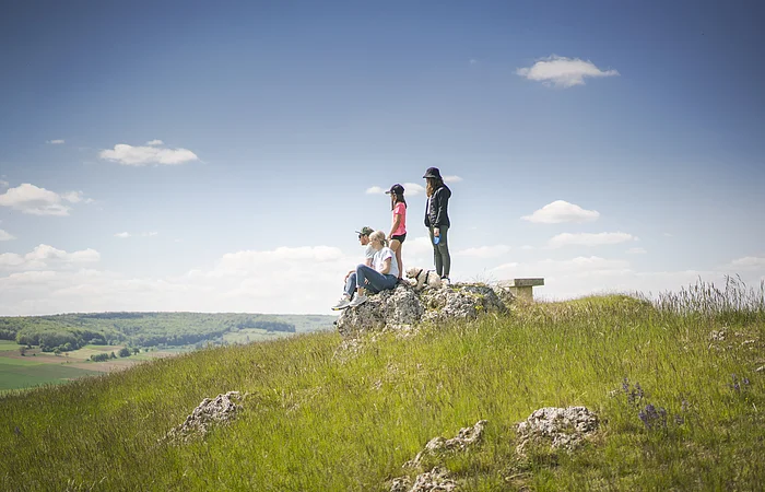 Familie mit Kindern und Hund, stehend/sitzend auf einem großen Stein, genießt die Aussicht