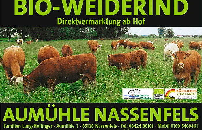 Bild des Flyers Bio-Weiderind Aumühle Nassenfels. Oben und unten jeweils apfelgrüne Schrift auf dunklem Hintergrund. In der Mitte das Bild einer Rinderherde auf grünem Gras.