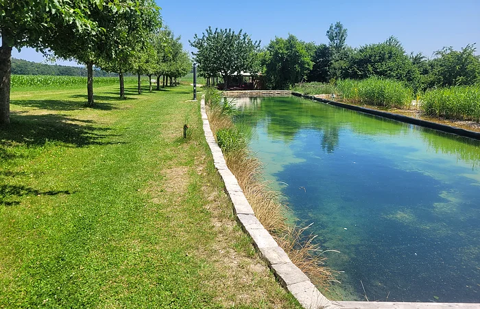 Überblick über Teich und Campingbereich