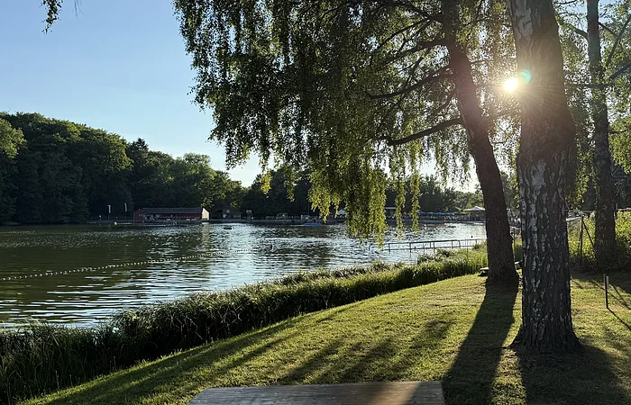Abendblick mit Sonneneinstrahlung am Ufer des Waldsees