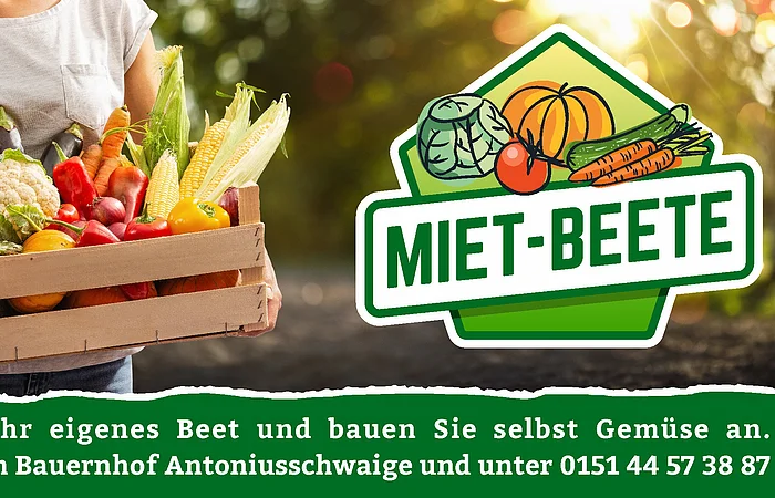 Werbebanner mit großem Bild. Teilausschnitt einer Frau, die eine Gemüsekiste trägt. Daneben ein Logo Miet-Beete. Darunter ein Werbehinweis mit Kontaktinformationen.
