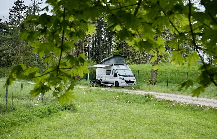 Wohnmobil mit ausgefahrenem Dach und Markise steht auf einer Wiese, umgeben von Bäumen und einem Zaun.