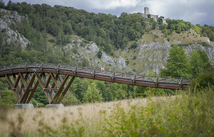 Holzbrücke vor bewaldetem Hügel mit Burgruine im Hintergrund, Wiese im Vordergrund.