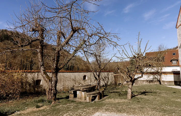 Drei kahle Bäume neben einem steinernen Tisch und Bänken auf einer Wiese vor einer Mauer und einem Gebäude.
