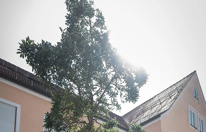 Zwei Personen stehen neben einer Steinskulptur des Buchstabens "N", daneben eine Informationstafel, beides steht auf einem Beet, mit einem Baum dahinter. Umgeben von einem gepflasterten Platz, Häusern und blauem Himmel im Hintergrund.