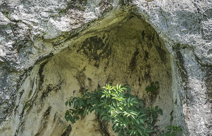 Eingang einer Höhle in einem Felsen, umgeben von grünen Pflanzen.