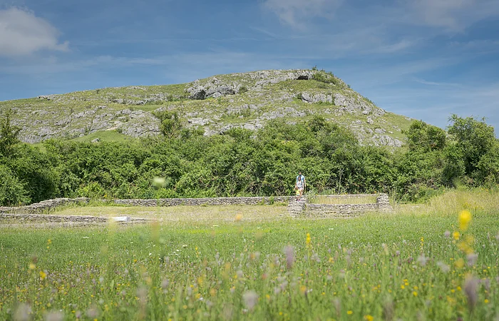 Wiese mit blühenden Wildblumen, im Hintergrund ein Hügel mit Felsen und Büschen, blauer Himmel.
