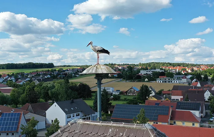 Ein Storch steht auf einem hohen Dach mit Blick auf Häuser und Felder einer Kleinstadt im Hintergrund.