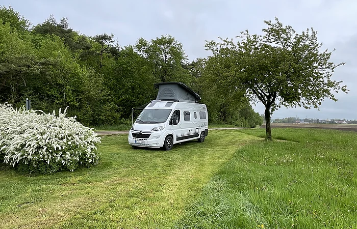 Wohnmobil auf einer Wiese neben einem Baum und blühenden Sträuchern, im Hintergrund ein Wald.