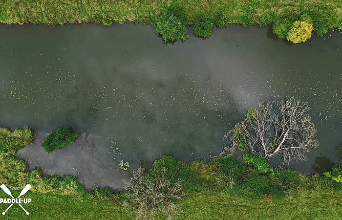Luftaufnahme eines Flusses mit grünem Ufer und einem kahlen Baum im Wasser. Logo mit gekreuzten Paddeln links unten.