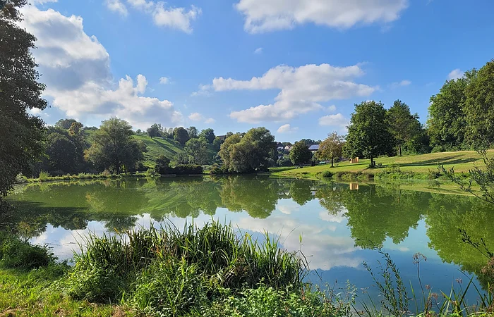 Ein Teich mit grüner Vegetation und Bäumen spiegelt sich im Wasser, unter blauem Himmel mit Wolken.
