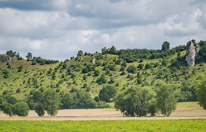 Hügelige Landschaft mit grünen Bäumen und Sträuchern, im Vordergrund ein Feld, bewölkter Himmel.