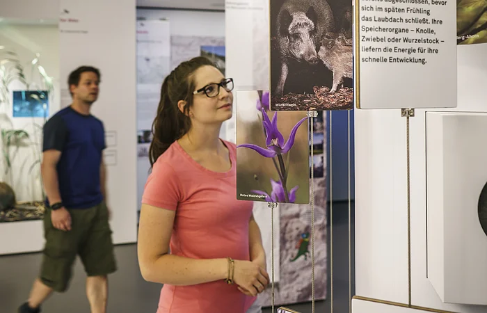 Eine Frau betrachtet eine Ausstellung mit hängenden Tafeln, die Bilder und Texte zeigen. Im Hintergrund geht ein Mann vorbei.