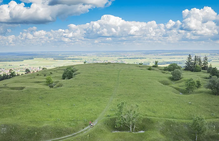 Weite grüne Wiesenlandschaft mit vereinzelten Bäumen, im Hintergrund ein Dorf und blauer Himmel mit Wolken.