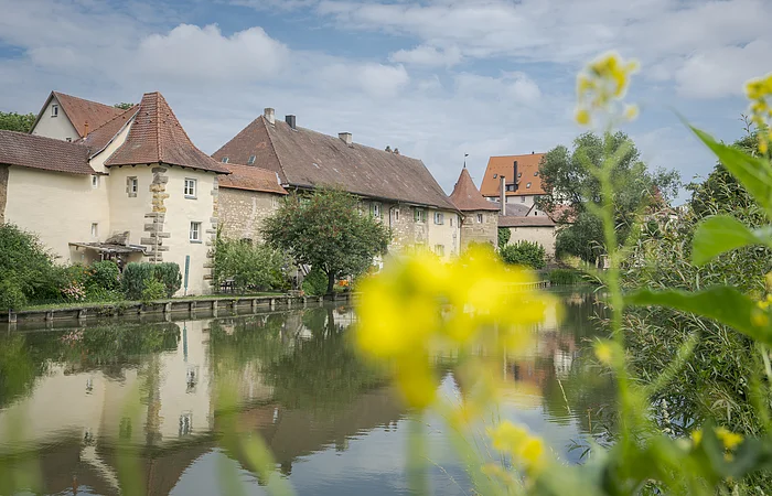Fluss mit mittelalterlichen Gebäuden im Hintergrund, gelbe Blumen im Vordergrund.