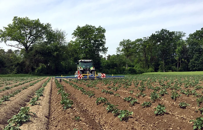 Traktor auf einem Feld mit jungen Pflanzen, umgeben von Bäumen im Hintergrund.