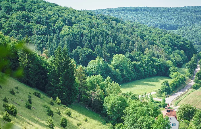 Hügelige Landschaft mit Wiesen und Bäumen, im Hintergrund dichter Wald und ein Haus mit rotem Dach.