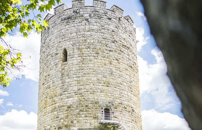 Eine vierköpfige Familie sitzt auf einem Baumstamm auf einer Wiese. Rechts auf dem Baumstamm ist ein Picknickkorb. die Familie blickt auf den Heinrichsturm. Der Himmel ist weiß-blau und die sonne scheint.