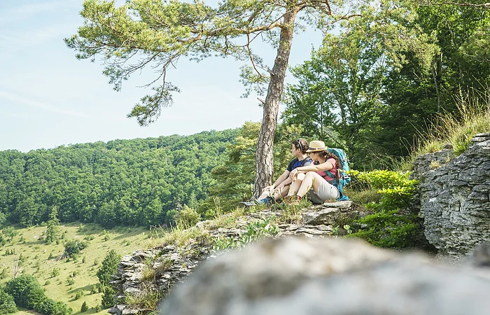 Zwei Personen sitzen auf einem Felsen unter einem Baum und blicken in eine bewaldete Landschaft.