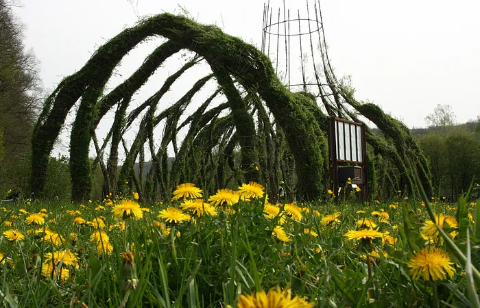Weidenkirche Pappenheim, eine gewachsene Kirche aus Weiden, mit Kirchenschiff und Turm, gelegen im Grün der Altmühlauen.