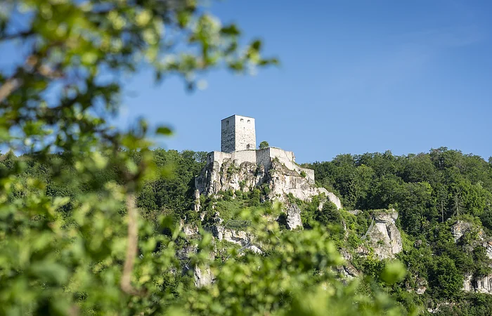 Burgruine auf einem bewaldeten Felsen unter blauem Himmel, im Vordergrund unscharfe grüne Blätter.