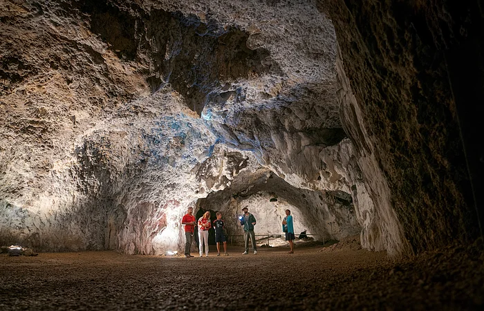 Fünf Personen stehen in einer großen, beleuchteten Höhle mit unregelmäßigen Felswänden und Boden aus Erde.