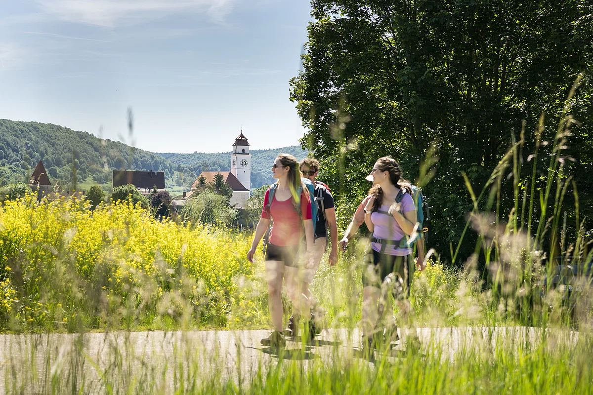 Drei Wanderer mit Rucksäcken auf Weg vor gelben Blumen und Dorf mit Kirchturm im Hintergrund