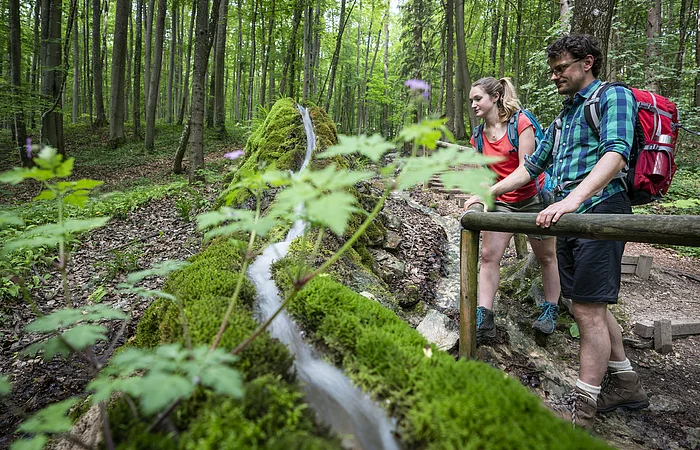 Zwei Wanderer mit Rucksäcken beobachten einen mit Moos bewachsenen Wasserlauf im Wald.