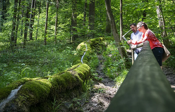 Zwei Personen lehnen an einem Geländer im Wald neben einem moosbedeckten Baumstamm mit Wasserfluss.