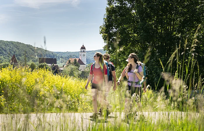 Drei Wanderer mit Rucksäcken auf Weg vor gelben Blumen und Dorf mit Kirchturm im Hintergrund