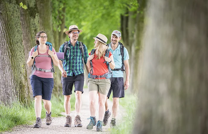 Vier Personen mit Rucksäcken wandern auf einem von Bäumen gesäumten Weg im Grünen.