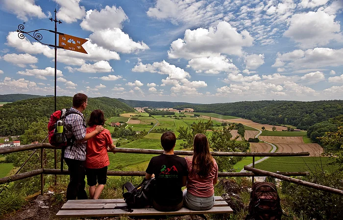 Vier Personen mit Rucksäcken blicken von einem Aussichtspunkt auf grüne Felder und bewaldete Hügel unter blauem Himmel.
