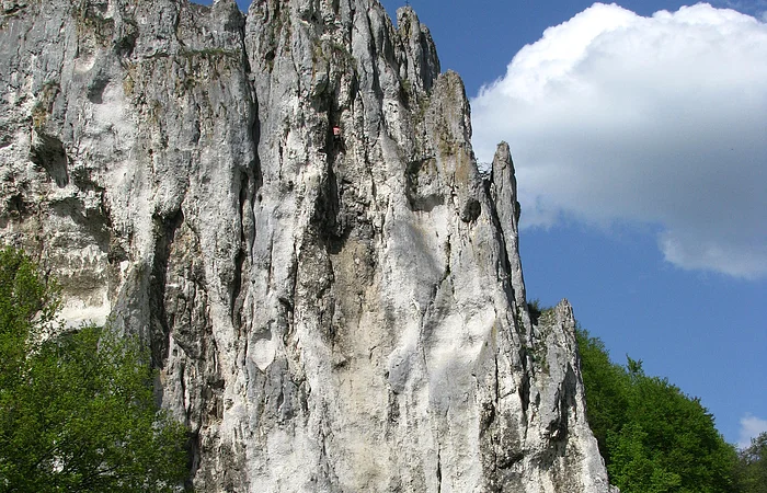 Felsformation mit steiler weiß-grauer Oberfläche, davor Wiese, Bäume und Verkehrsschilder bei blauem Himmel.