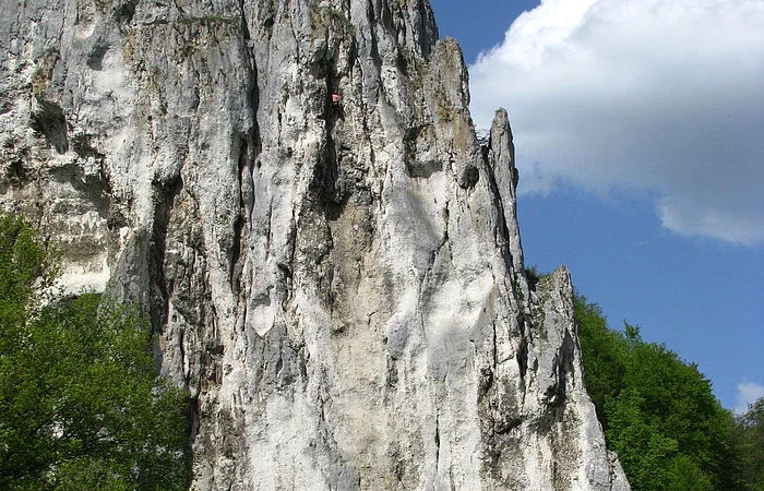 Felsformation mit steiler weiß-grauer Oberfläche, davor Wiese, Bäume und Verkehrsschilder bei blauem Himmel.