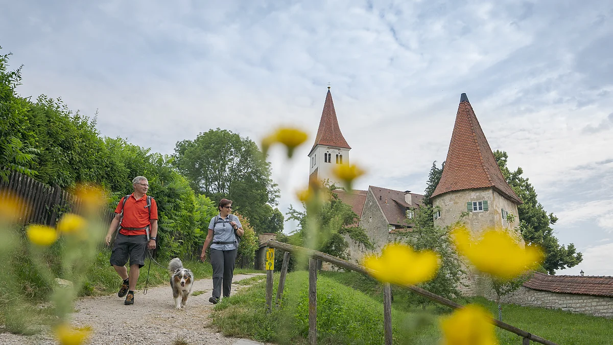 Zwei Wanderer mit Hund auf Weg vor Kirche und Turm, gelbe Blumen im Vordergrund, bewölkter Himmel